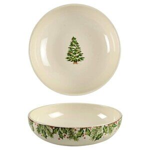 Pier 1 Winter's Wonder Holiday Christmas Ironstone Dinner Cereal Soup Bowl 8"